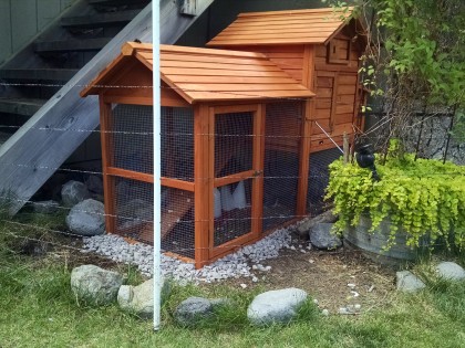 Removable Chicken Coop