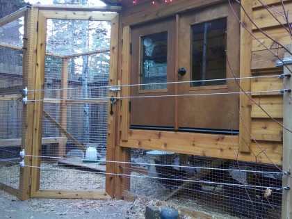 Permanent Chicken Coop