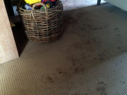 Carpet Stains