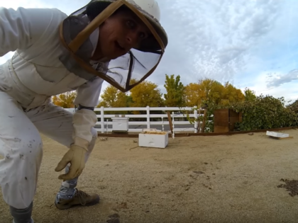 Bee Hive Install